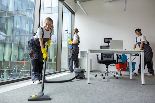 Professional cleaning service